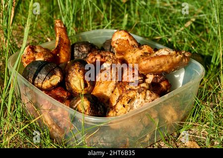 Köstlicher saftiger gegrillter Fleischkebab an einem Sommertag Stockfoto