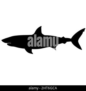Schwarz-Weiß-Darstellung des Hais. Silhouette eines Meeresmonsters. Schreckliches blutrünstiges Raubtier. Ein Monster aus den Tiefen des Ozeans Stockfoto