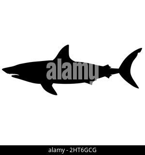 Schwarz-Weiß-Darstellung des Hais. Silhouette eines Meeresmonsters. Schreckliches blutrünstiges Raubtier. Ein Monster aus den Tiefen des Ozeans Stockfoto