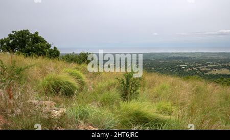 Große Ansicht von wildem Gras auf der Oberseite der Luftaufnahme von großen Feldern unten gegen einen blauen Horizont Himmel Stockfoto