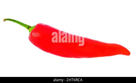Rote Paprika, isoliert auf weiss Stockfoto