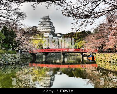 Das berühmte Schloss Himeji liegt vor einer wunderschönen Frühlingslandschaft eines Sees in Japan Stockfoto