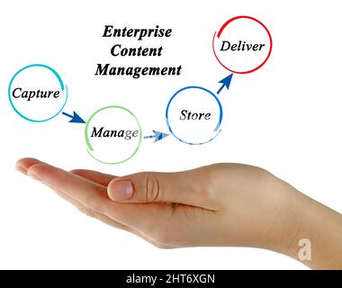 Prozess des Enterprise Content Management Stockfoto