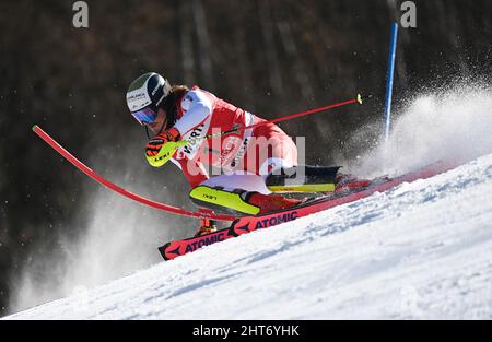 Garmisch Partenkirchen, Deutschland. 27.. Februar 2022. Alpinski: WM, Slalom, Herren, 2. Lauf. Manuel Feller aus Österreich im Einsatz. Quelle: Angelika Warmuth/dpa/Alamy Live News Stockfoto