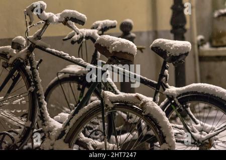 Reihe von verschneiten alten Fahrrädern im Park Stockfoto