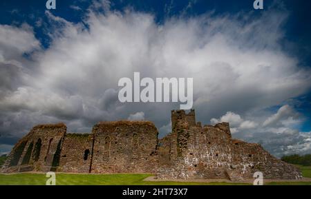 Dunbrody Abbey, County Wexford, Irland. Stockfoto