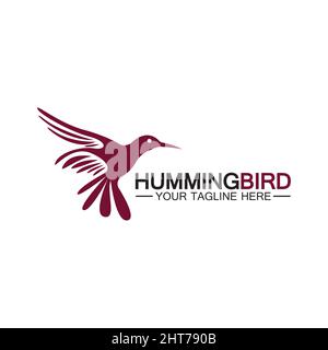 Hummingbird Logo Design Vektor Vorlage Stock Vektor