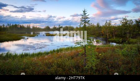 Herbstlandschaft in der Tundra. Berge, Vulkane, Seen, farbige gelbe Blätter, helle Farben Stockfoto