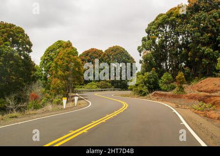 Eine kurvenreiche asphaltierte Straße, die tiefer in den Regenwald auf Kauai führt Stockfoto