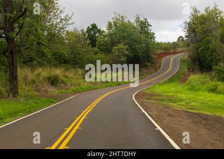 Eine kurvenreiche asphaltierte Straße, die tiefer in den Regenwald auf Kauai führt Stockfoto