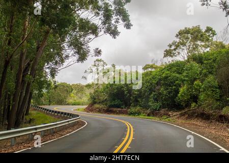 Eine kurvenreiche asphaltierte Straße, die tiefer in den Regenwald auf Kauai führt Stockfoto