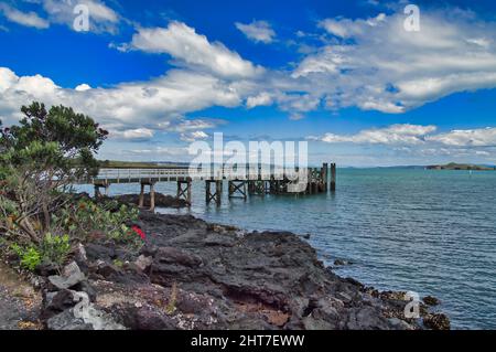 Die Anlegestelle der Fähre nach Auckland auf der Rangitoto Insel in der Auckland Bay. Schwarze Lavagesteine und ein blühender Pohutukawa. Nordinsel, Neuseeland Stockfoto