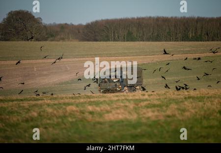 British Army MAN SV 4x4 Utility Trucks 4x4 Fahrzeuge in Aktion auf einer militärischen Kampftraining Übung, Wiltshire UK Stockfoto