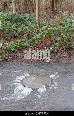 Wasser aus einer Schachtabdeckung, Wilhelmsburg, Hamburg, Deutschland Stockfoto