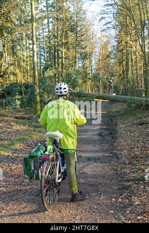 Frau über fünfzig macht mit ihrem E-Bike eine Radtour durch Wald nach Sturm, Baumblockpfad, Lüneburg, Niedersachsen, Deutschland Stockfoto