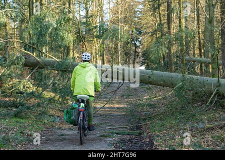 Frau über fünfzig macht mit ihrem E-Bike eine Radtour durch Wald nach Sturm, Baumblockpfad, Lüneburg, Niedersachsen, Deutschland Stockfoto