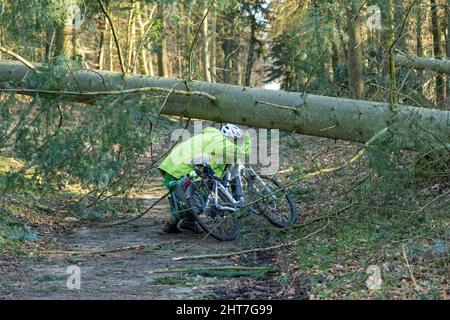 Frau über fünfzig macht mit ihrem E-Bike eine Radtour durch Wald nach Sturm, Baumblockpfad, Lüneburg, Niedersachsen, Deutschland Stockfoto