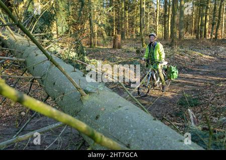 Frau über fünfzig macht mit ihrem E-Bike eine Radtour durch Wald nach Sturm, Baumblockpfad, Lüneburg, Niedersachsen, Deutschland Stockfoto