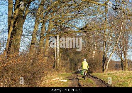 Radtour mit E-Bike durch Wald, Lüneburg, Niedersachsen, Deutschland Stockfoto