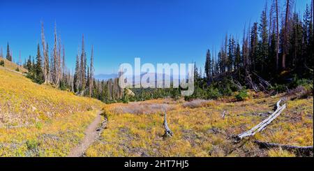 Blick vom Wanderweg auf den Mount Nebo Wilderness Peak 11.933 Meter, Herbstlaub-Panorama, höchster Punkt in der Wasatch Range von Utah, Uinta National Forest, Stockfoto