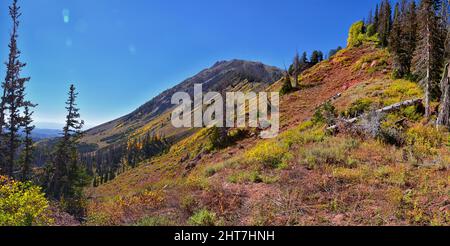 Blick vom Wanderweg auf den Mount Nebo Wilderness Peak 11.933 Meter, Herbstlaub-Panorama, höchster Punkt in der Wasatch Range von Utah, Uinta National Forest, Stockfoto