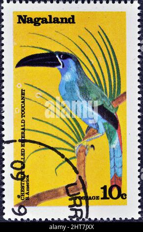 Abgesagte Briefmarke gedruckt von Nagaland, die Chestnut bauchigen Smaragd-Tucanet zeigt, um 1977. Stockfoto