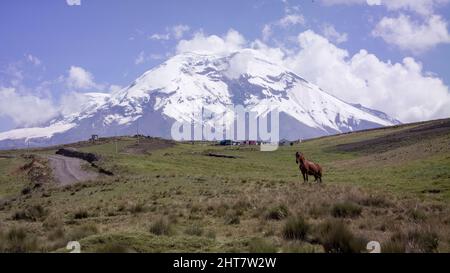 Landschaft von El chimborazo, Ecuador, anden, andengebirge Schneespitze Stockfoto