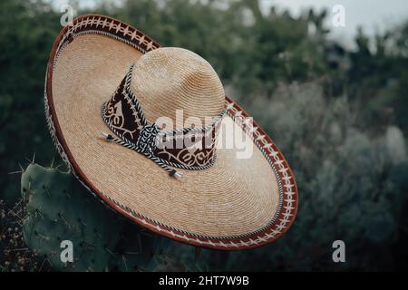 Nahaufnahme eines eleganten Charro-Hutes, der an einem Kaktus hängt Stockfoto