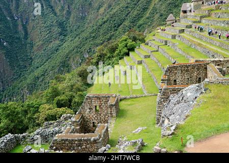 Die Überreste der landwirtschaftlichen Terrassen der Inka in der antiken Zitadelle Machu Picchu, einem unglaublichen UNESCO-Weltkulturerbe in der Region Cuzco, Peru Stockfoto