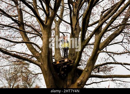 Junge, der in einem schönen hohen Baum in einem hohen Baumhaus steht Stockfoto