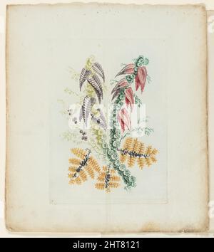 Teller, aus New Suite of Notebooks of Ideal Flowers for use by draftsmen and Painters, c. 1795. Stockfoto