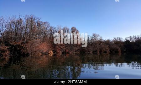 Landschaft mit einem riesigen See mit Schilf und Rush, felsigen Bergen und hohen Wäldern am Horizont Stockfoto