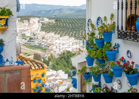 Blick auf die Cordoban Stadt Iznájar (Spanien) zwischen Olivenbäumen von einer schmalen Straße mit blauen Töpfen geschmückt Stockfoto