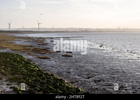 Bei Ebbe werden am Severn Beach auf dem Bristol Channel Schlammflatter aufgedeckt, hinter dem die Windturbinen und Industrieanlagen der Avonmouth Docks liegen. Stockfoto