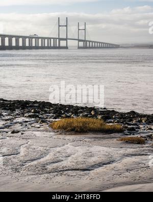 Am Ufer des Bristol Channel am Severn Beach in Gloucestershire wächst Gras auf Lehmflächen, hinter der zweiten Severn Crossing-Brücke. Stockfoto