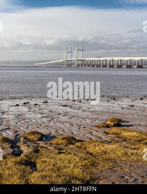 Am Ufer des Bristol Channel am Severn Beach in Gloucestershire wächst Gras auf Lehmflächen, hinter der zweiten Severn Crossing-Brücke. Stockfoto