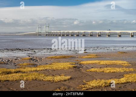 Am Ufer des Bristol Channel am Severn Beach in Gloucestershire wächst Gras auf Lehmflächen, hinter der zweiten Severn Crossing-Brücke. Stockfoto