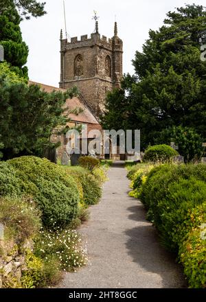 Ein Pfad führt durch den Kirchhof der traditionellen Pfarrkirche St. Peter und St. Paul in Odcombe, Somerset. Stockfoto