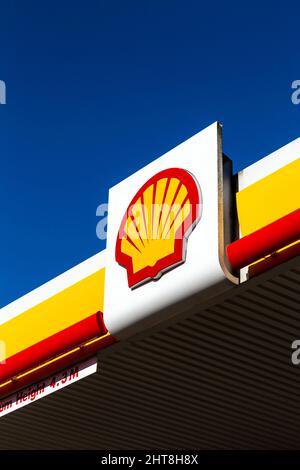 Nahaufnahme des Logos der Shell-Ölgesellschaft an einer ihrer Tankstellen Stockfoto