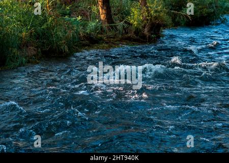 Schneller Gebirgsfluss fließt zwischen den bewaldeten Ufern. Stockfoto