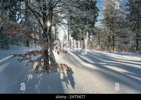 Beskiden Berge im Winter ist die polnische Tourismusregion Schlesien, in der Nähe von Bielsko-Biala Stockfoto