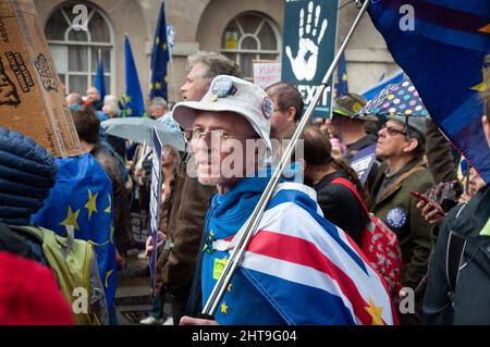 Anti-Brexit-Demonstration in London 19. Oktober 2019 Stockfoto