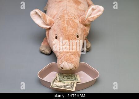 Vor dem Spielzeug-Schwein im Futterhäuschen steht ein Dollar. Hochwertige Fotos Stockfoto