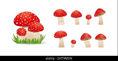 Big set Pilze Zehenhocker niedlich. Ungenießbare Pilze. Vektorgrafik Stock Vektor