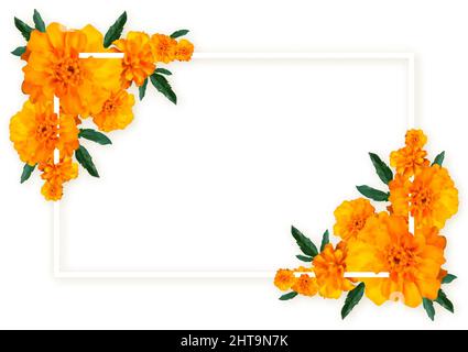 Ringelblume Blumenrahmen Blüte Banner realistischen Stil. Farbe Bouquet natürlich frisch orange zarten Hintergrund Einladung Hochzeit Label Produkt Promo Board. Sommerkarte einfaches Licht isoliert auf weiß Stock Vektor