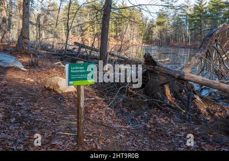 Schild für den Bereich „Landscape Restoration Area“ (Landschaftsrestauration), in dem die Wanderer aufgefordert werden, auf bestimmten Wegen Rocky Woods, Medfield, Massachusetts, USA Stockfoto