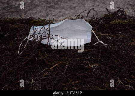 Entsorgte medizinische Maske gegen Corona-Infektion Stockfoto