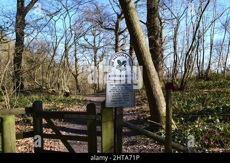 Ein National Trust-Schild und Bäume und Tor auf dem Ightham Mote Estate, Kent auf dem Greensand Ridge bei Wilmot's Hill im Februar an sonnigen Tagen Stockfoto