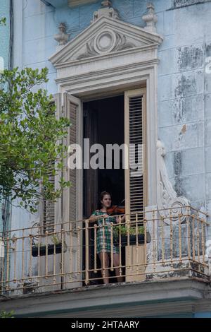 Die junge Frau praktiziert die Geige in einer gewölbten Tür von der Vorderseite ihres Hauses in Havanna, Kuba. Stockfoto