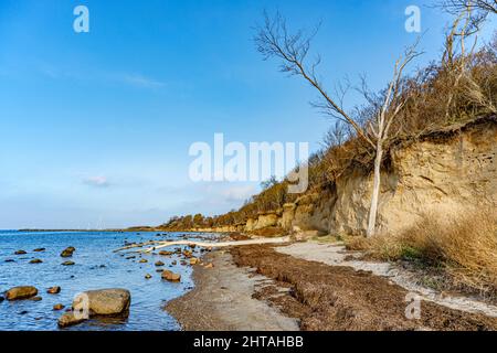 Steilküste Im Naturschutzgebiet An Der Westküste Der Insel Poel, Mecklenburg-Vorpommern, Deutschland, Europa Stockfoto